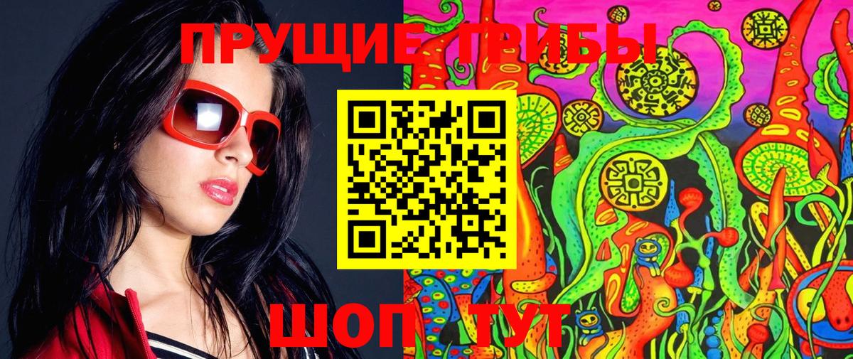 Псилоцибиновые грибы Psilocybe Советский